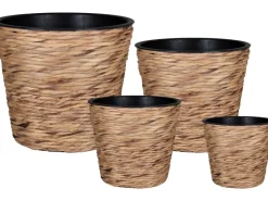 A.H.G. Übertopf mit Wasserhyazinthe Sticking Roll Ø 16 cm x 14 cm< Töpfe
