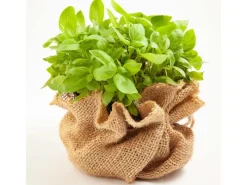 Aquagart 15m x 1m Jutegewebe 105g/m² Jutematte Gartenjute Jute Stoff Sackleinen Juteband< Töpfe