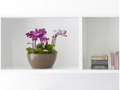 Artevasi Schale San Remo Ø 32 cm Weiß< Töpfe