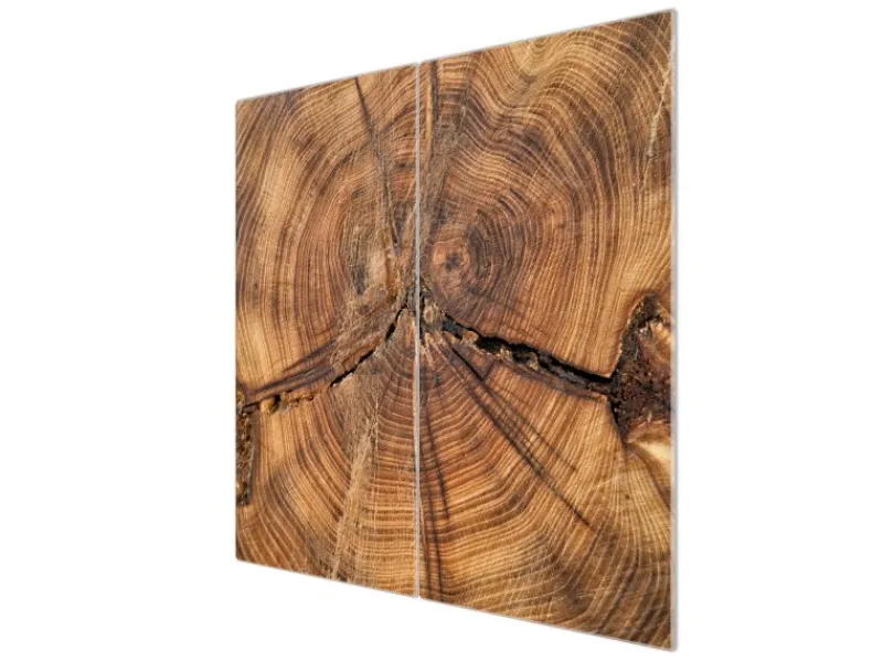 New Banjado Herdabdeckplatte Glas 2 Teilig Je 30x52CM Schneidebrett Herdabdeckung Mit Motiv Jahresringe