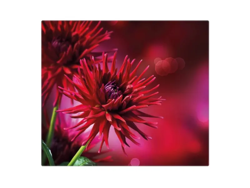 Clearance Banjado Herdabdeckplatte Glas 1 Teilig 60x52CM Schneidebrett Herdabdeckung Mit Motiv Rote Dahlien