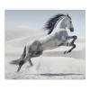 Banjado Herdabdeckungen|Herde<Herdabdeckplatte Glas 1 Teilig 60x52CM Schneidebrett Herdabdeckung Mit Motiv Wildes Pferd