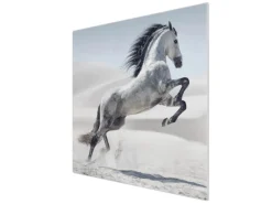 Banjado Herdabdeckungen|Herde<Herdabdeckplatte Glas 1 Teilig 60x52CM Schneidebrett Herdabdeckung Mit Motiv Wildes Pferd