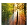 Clearance Banjado Herdabdeckplatte Glas 2 Teilig Je 30x52CM Schneidebrett Herdabdeckung Mit Motiv Herbstwald