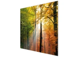 Clearance Banjado Herdabdeckplatte Glas 2 Teilig Je 30x52CM Schneidebrett Herdabdeckung Mit Motiv Herbstwald