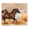 Banjado Herdabdeckplatte Glas 1 Teilig 60x52CM Schneidebrett Herdabdeckung Mit Motiv Wilde Pferde< Schneidebretter|Herdabdeckungen