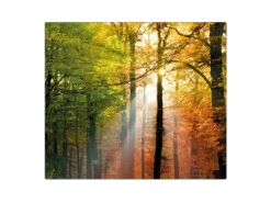 Sale Banjado Herdabdeckplatte Glas 1 Teilig 60x52CM Schneidebrett Herdabdeckung Mit Motiv Herbstwald