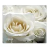 Banjado Herdabdeckplatte Glas 1 Teilig 60x52CM Schneidebrett Herdabdeckung Mit Motiv White Roses< Schneidebretter|Herdabdeckungen