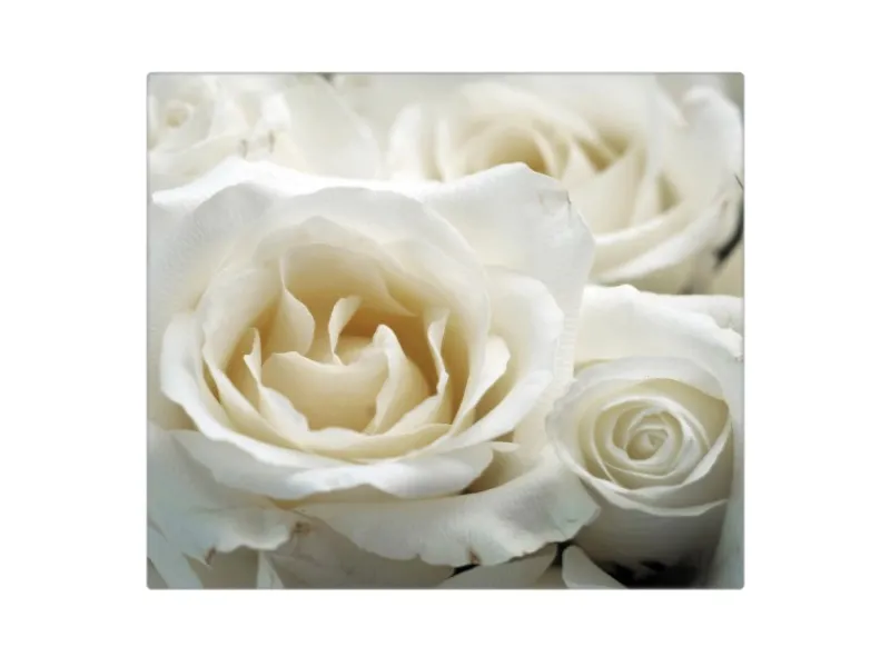 Banjado Herdabdeckplatte Glas 1 Teilig 60x52CM Schneidebrett Herdabdeckung Mit Motiv White Roses< Schneidebretter|Herdabdeckungen