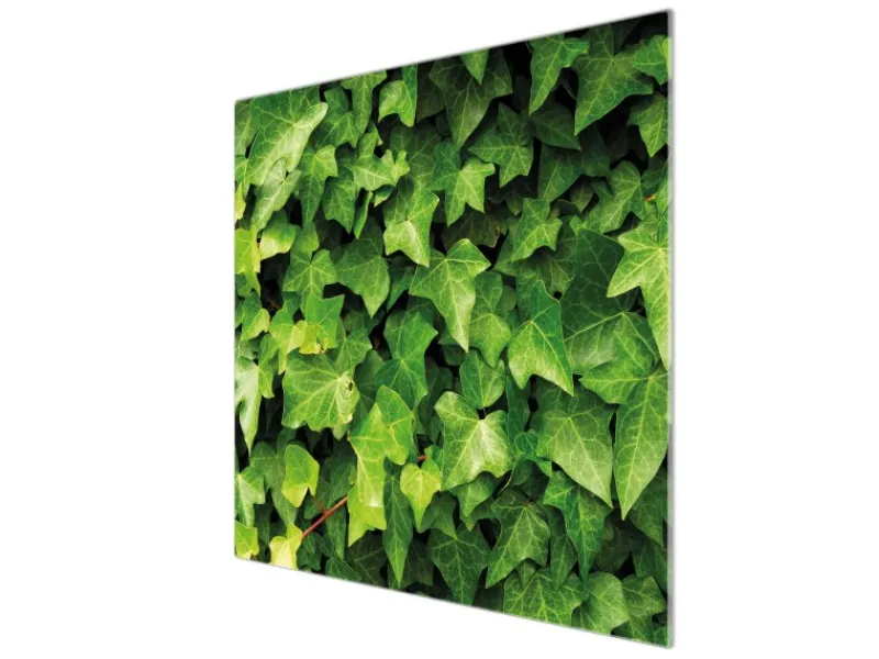 Best Banjado Herdabdeckplatte Glas 1 Teilig 60x52CM Schneidebrett Herdabdeckung Mit Motiv Efeu