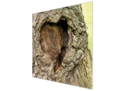Banjado Herdabdeckplatte Glas 1 Teilig 60x52CM Schneidebrett Herdabdeckung Mit Motiv Altes Herz