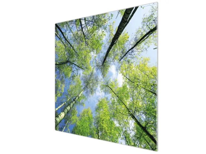 Sale Banjado Herdabdeckplatte Glas 1 Teilig 60x52CM Schneidebrett Herdabdeckung Mit Motiv Zwischen Bäumen 3