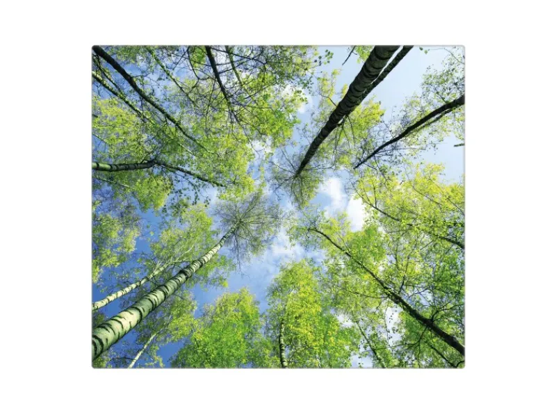 Sale Banjado Herdabdeckplatte Glas 1 Teilig 60x52CM Schneidebrett Herdabdeckung Mit Motiv Zwischen Bäumen 3