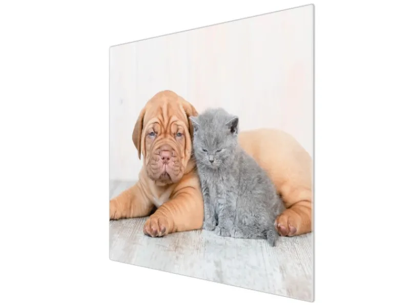 Sale Banjado Herdabdeckplatte Glas 1 Teilig 60x52CM Schneidebrett Herdabdeckung Mit Motiv Hund Und Katze