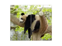 Banjado Herdabdeckplatte Glas 2 Teilig Je 30x52CM Schneidebrett Herdabdeckung Mit Motiv Panda< Herde|Kochfelder