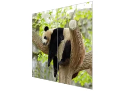 Banjado Herdabdeckplatte Glas 2 Teilig Je 30x52CM Schneidebrett Herdabdeckung Mit Motiv Panda< Herde|Kochfelder