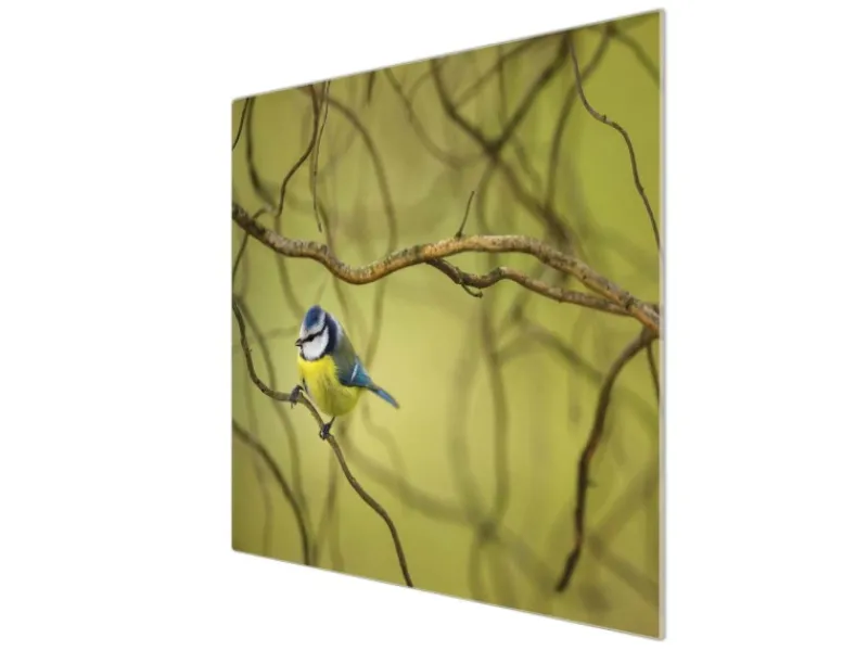 Online Banjado Herdabdeckplatte Glas 1 Teilig 60x52CM Schneidebrett Herdabdeckung Mit Motiv Blaumeise Im Baum
