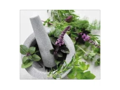 Banjado Herdabdeckungen|Schneidebretter<Herdabdeckplatte Glas 1 Teilig 60x52CM Schneidebrett Herdabdeckung Mit Motiv Kräuter