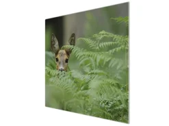 Discount Banjado Herdabdeckplatte Glas 1 Teilig 60x52CM Schneidebrett Herdabdeckung Mit Motiv Reh