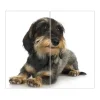 Best Banjado Herdabdeckplatte Glas 2 Teilig Je 30x52CM Schneidebrett Herdabdeckung Mit Motiv Dackel