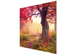 Outlet Banjado Herdabdeckplatte Glas 1 Teilig 60x52CM Schneidebrett Herdabdeckung Mit Motiv Lichtung Im Herbst
