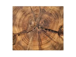 Banjado Schneidebretter|Herdabdeckungen<Herdabdeckplatte Glas 1 Teilig 60x52CM Schneidebrett Herdabdeckung Mit Motiv Jahresringe