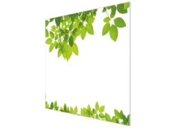 Banjado Schneidebretter|Herdabdeckungen<Herdabdeckplatte Glas 1 Teilig 60x52CM Schneidebrett Herdabdeckung Mit Motiv Rahmen Blätter