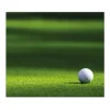 Banjado Schneidebretter|Herdabdeckungen<Herdabdeckplatte Glas 1 Teilig 60x52CM Schneidebrett Herdabdeckung Mit Motiv Einsamer Golfball
