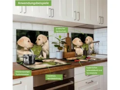 Banjado Herdabdeckplatte Glas 1 Teilig 60x52CM Schneidebrett Herdabdeckung Mit Motiv Labrador< Schneidebretter|Herde
