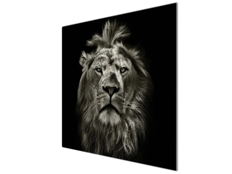 Banjado Schneidebretter|Herde<Herdabdeckplatte Glas 1 Teilig 60x52CM Schneidebrett Herdabdeckung Mit Motiv Löwe Porträt
