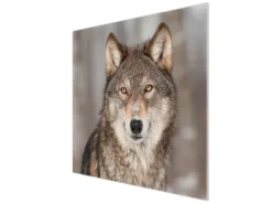 Banjado Herdabdeckplatte Glas 1 Teilig 60x52CM Schneidebrett Herdabdeckung Mit Motiv Soraya