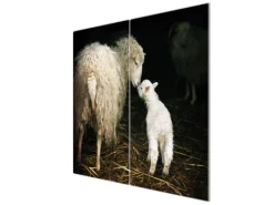 Hot Banjado Herdabdeckplatte Glas 2 Teilig Je 30x52CM Schneidebrett Herdabdeckung Mit Motiv Schaf Und Lamm
