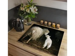Hot Banjado Herdabdeckplatte Glas 2 Teilig Je 30x52CM Schneidebrett Herdabdeckung Mit Motiv Schaf Und Lamm