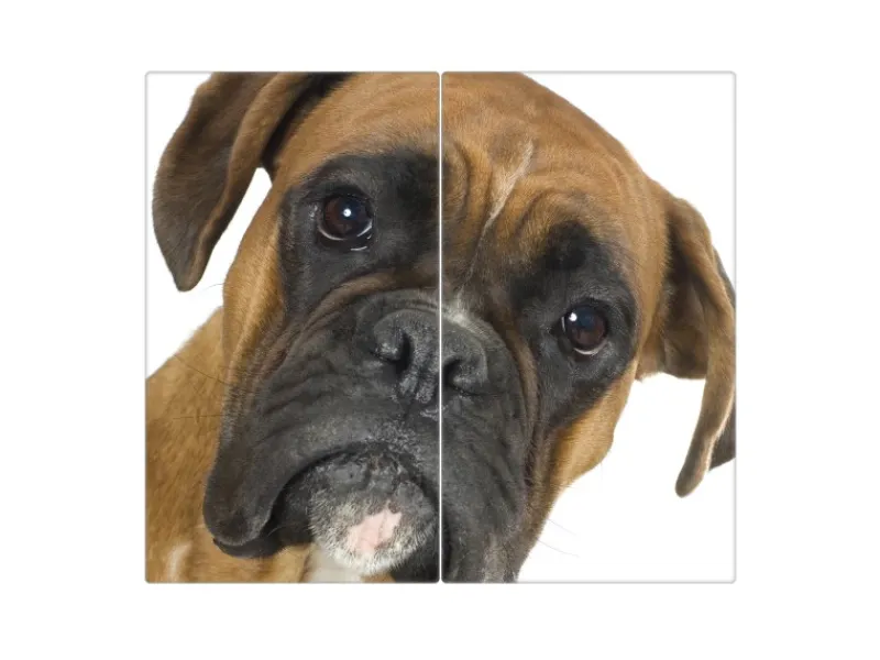 Banjado Herde|Kochfelder<Herdabdeckplatte Glas 2 Teilig Je 30x52CM Schneidebrett Herdabdeckung Mit Motiv Boxer