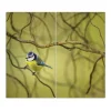 Banjado Herdabdeckplatte Glas 2 Teilig Je 30x52CM Schneidebrett Herdabdeckung Mit Motiv Blaumeise Im Baum< Schneidebretter|Herde