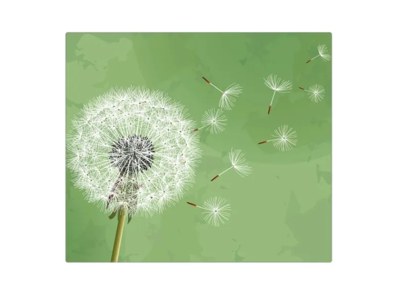 Banjado Herdabdeckplatte Glas 1 Teilig 60x52CM Schneidebrett Herdabdeckung Mit Motiv Pusteblume 3