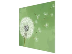 Banjado Herdabdeckplatte Glas 1 Teilig 60x52CM Schneidebrett Herdabdeckung Mit Motiv Pusteblume 3