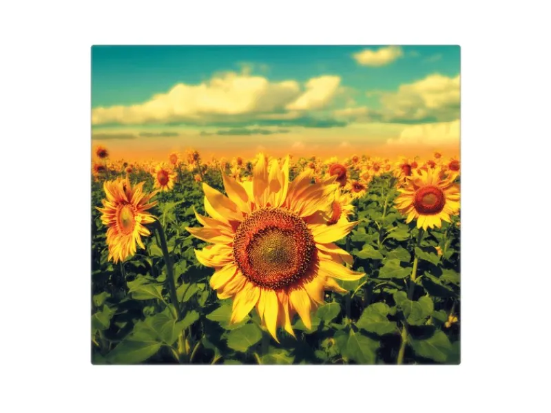Hot Banjado Herdabdeckplatte Glas 1 Teilig 60x52CM Schneidebrett Herdabdeckung Mit Motiv Sonnenblumen