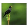 Banjado Schneidebretter|Herde<Herdabdeckplatte Glas 2 Teilig Je 30x52CM Schneidebrett Herdabdeckung Mit Motiv Vogel Auf Tannenzweig