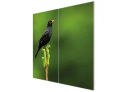 Banjado Schneidebretter|Herde<Herdabdeckplatte Glas 2 Teilig Je 30x52CM Schneidebrett Herdabdeckung Mit Motiv Vogel Auf Tannenzweig