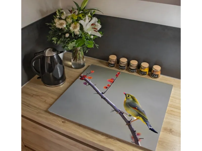 Sale Banjado Herdabdeckplatte Glas 1 Teilig 60x52CM Schneidebrett Herdabdeckung Mit Motiv Herbst Vogel