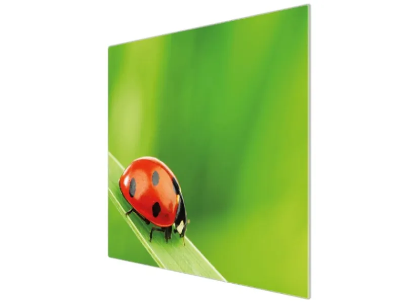 Banjado Schneidebretter|Herde<Herdabdeckplatte Glas 1 Teilig 60x52CM Schneidebrett Herdabdeckung Mit Motiv Marienkäfer