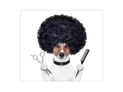 Banjado Herdabdeckplatte Glas 1 Teilig 60x52CM Schneidebrett Herdabdeckung Mit Motiv Friseur Jack Russel< Herde|Kochfelder