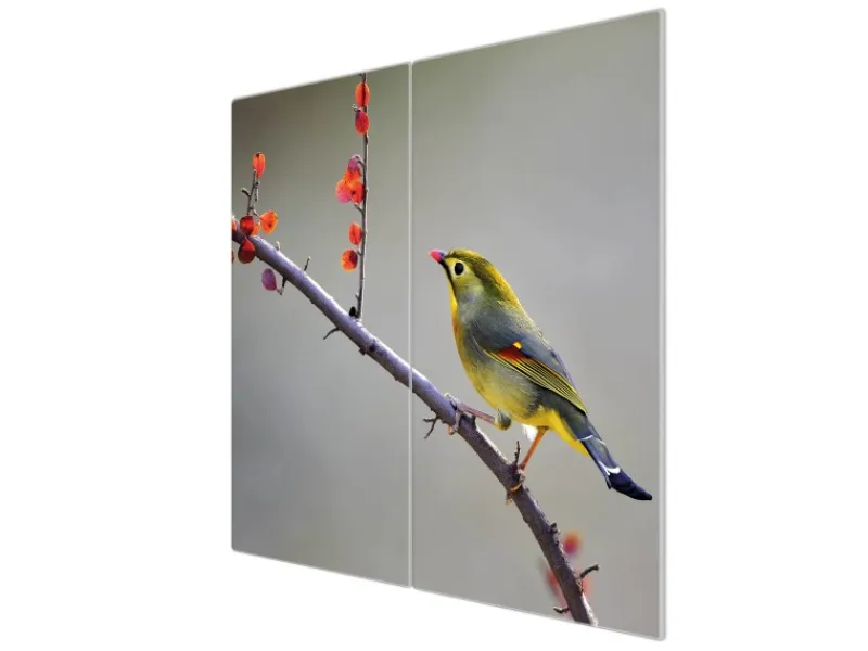 Banjado Herdabdeckungen|Küchenrückwände<Herdabdeckplatte Glas 2 Teilig Je 30x52CM Schneidebrett Herdabdeckung Mit Motiv Herbst Vogel