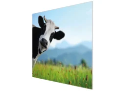 Banjado Herde|Kochfelder<Herdabdeckplatte Glas 1 Teilig 60x52CM Schneidebrett Herdabdeckung Mit Motiv Neugierig