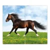 Sale Banjado Herdabdeckplatte Glas 2 Teilig Je 30x52CM Schneidebrett Herdabdeckung Mit Motiv Pferd