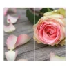 Discount Banjado Herdabdeckplatte Glas 2 Teilig Je 30x52CM Schneidebrett Herdabdeckung Mit Motiv Rosa Rose