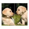 Online Banjado Herdabdeckplatte Glas 2 Teilig Je 30x52CM Schneidebrett Herdabdeckung Mit Motiv Labrador