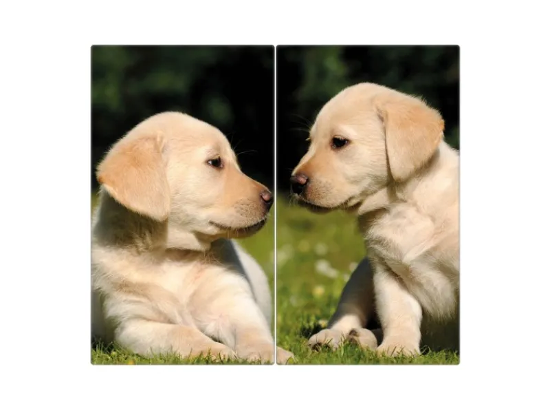 Online Banjado Herdabdeckplatte Glas 2 Teilig Je 30x52CM Schneidebrett Herdabdeckung Mit Motiv Labrador
