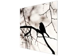 Banjado Schneidebretter|Herdabdeckungen<Herdabdeckplatte Glas 1 Teilig 60x52CM Schneidebrett Herdabdeckung Mit Motiv Früher Vogel